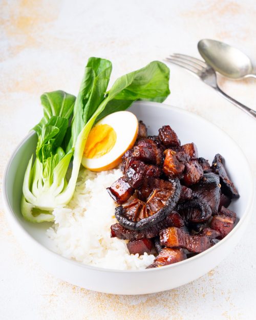 Taiwanese Braised Pork & Rice